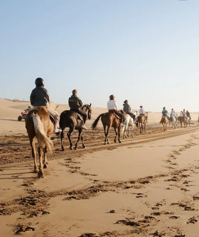 Quad tour or horse riding